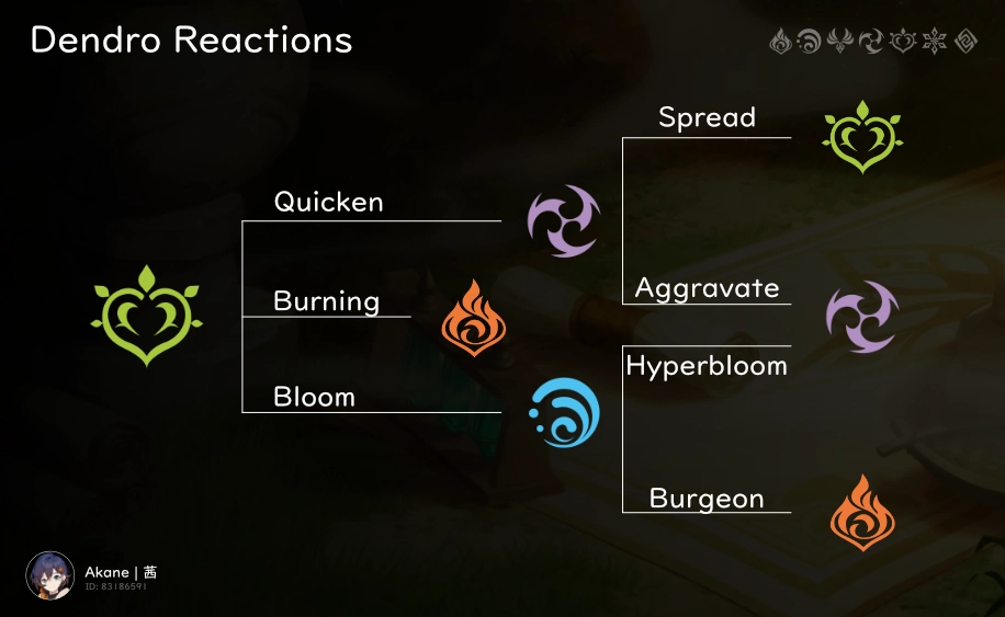 genshin impact- DENDRO REACTIONS