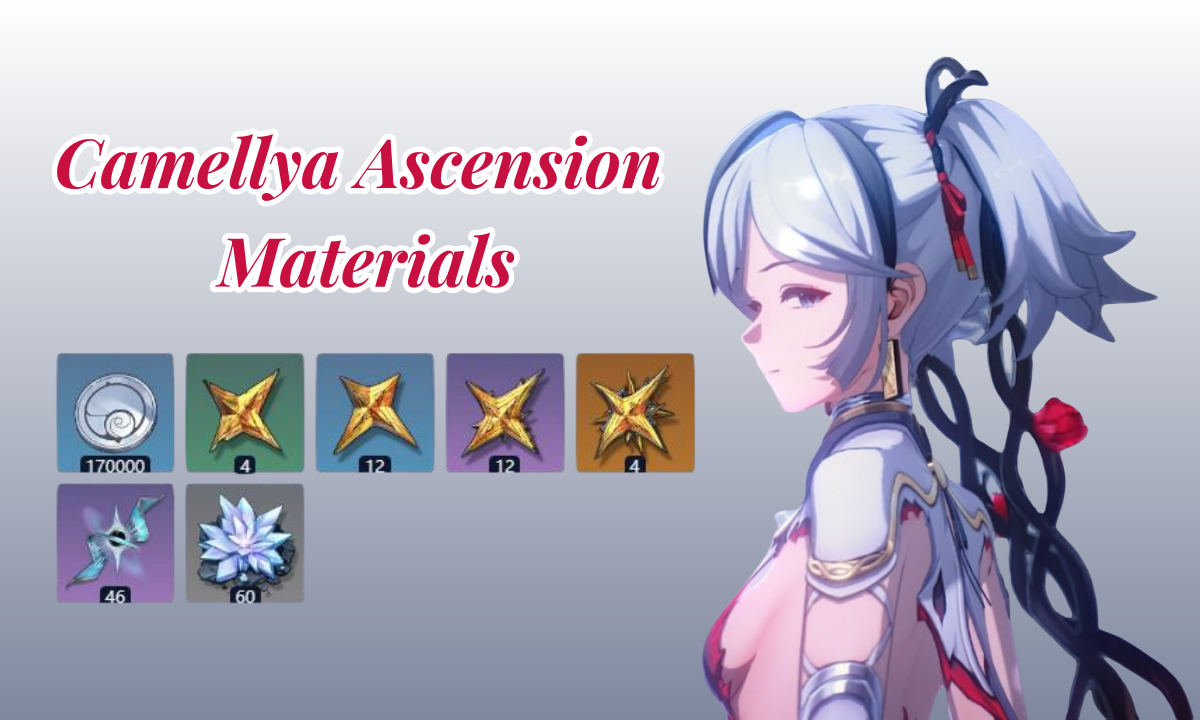 WUTHERING WAVES-CAMELLYA ASCENSION MATERIAL