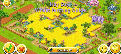 Hay Day Guide to Effective Wheat Farming