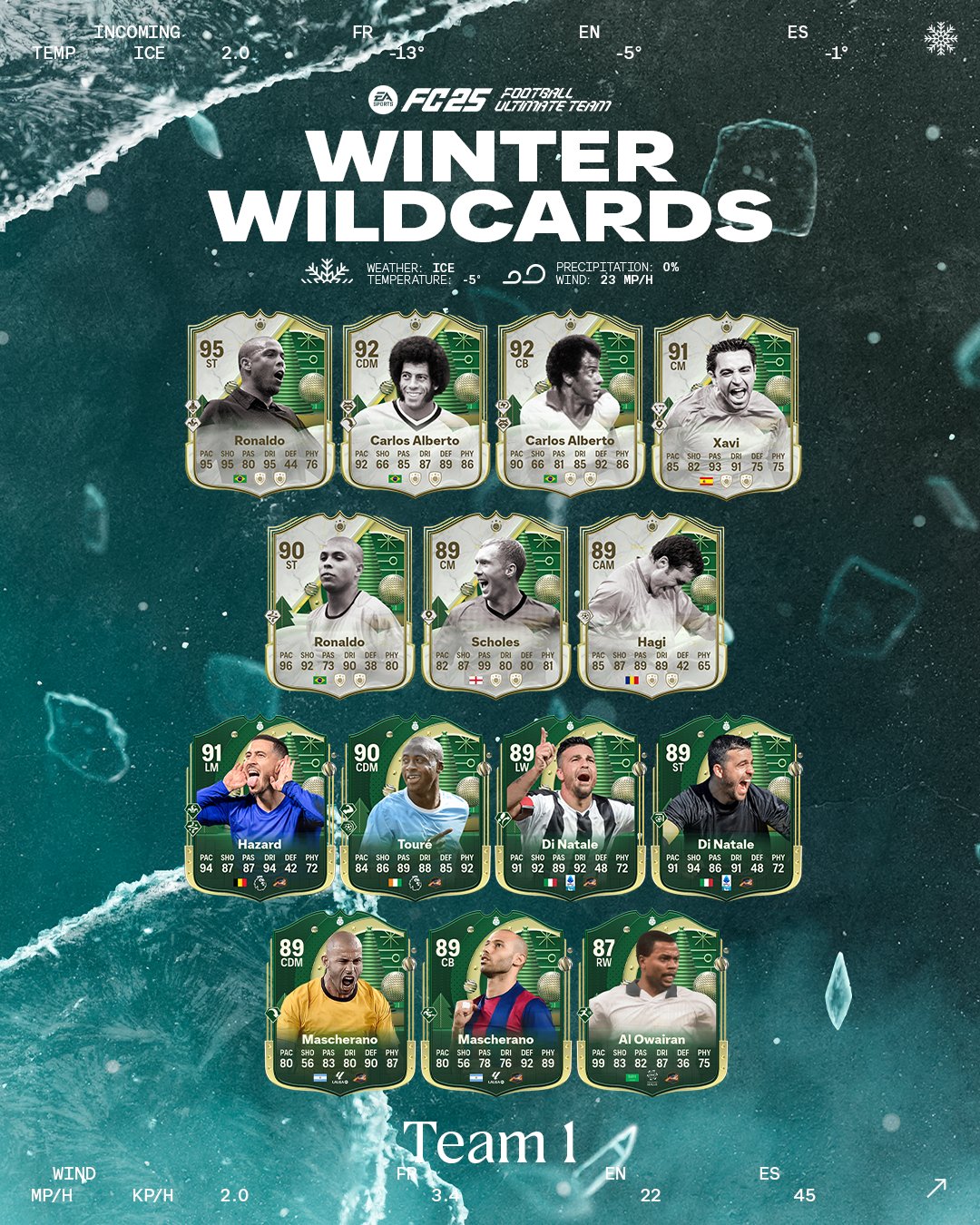 winter wild icon hero