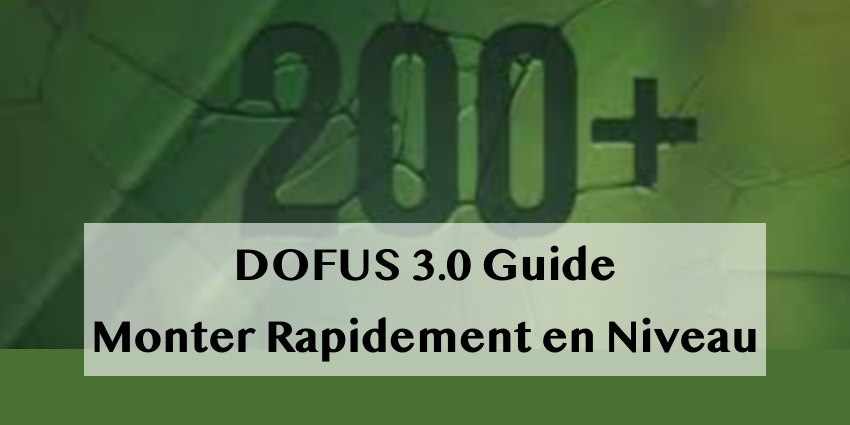 Guide pour Monter Rapidement en Niveau dans Dofus 3.0