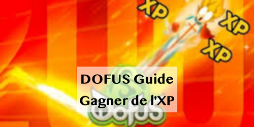 DOFUS Guide : gagner de l'XP pour monocompte