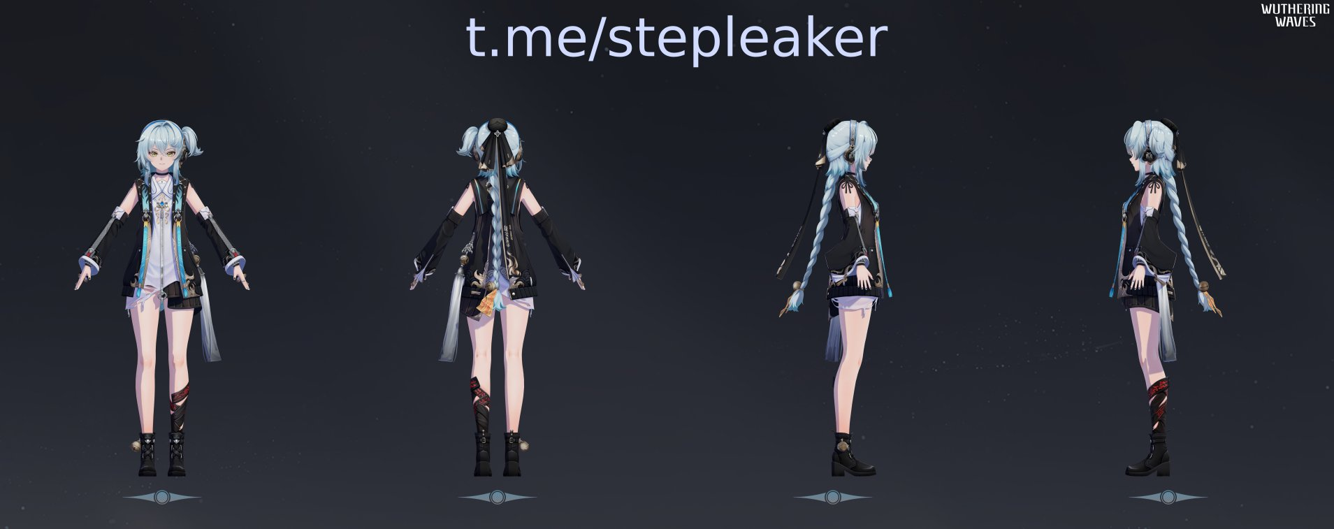 WuWa New character leak
