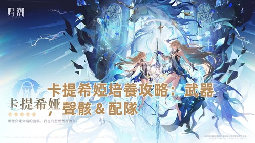 卡提希婭培養攻略：武器，聲骸＆配隊 | 鳴潮